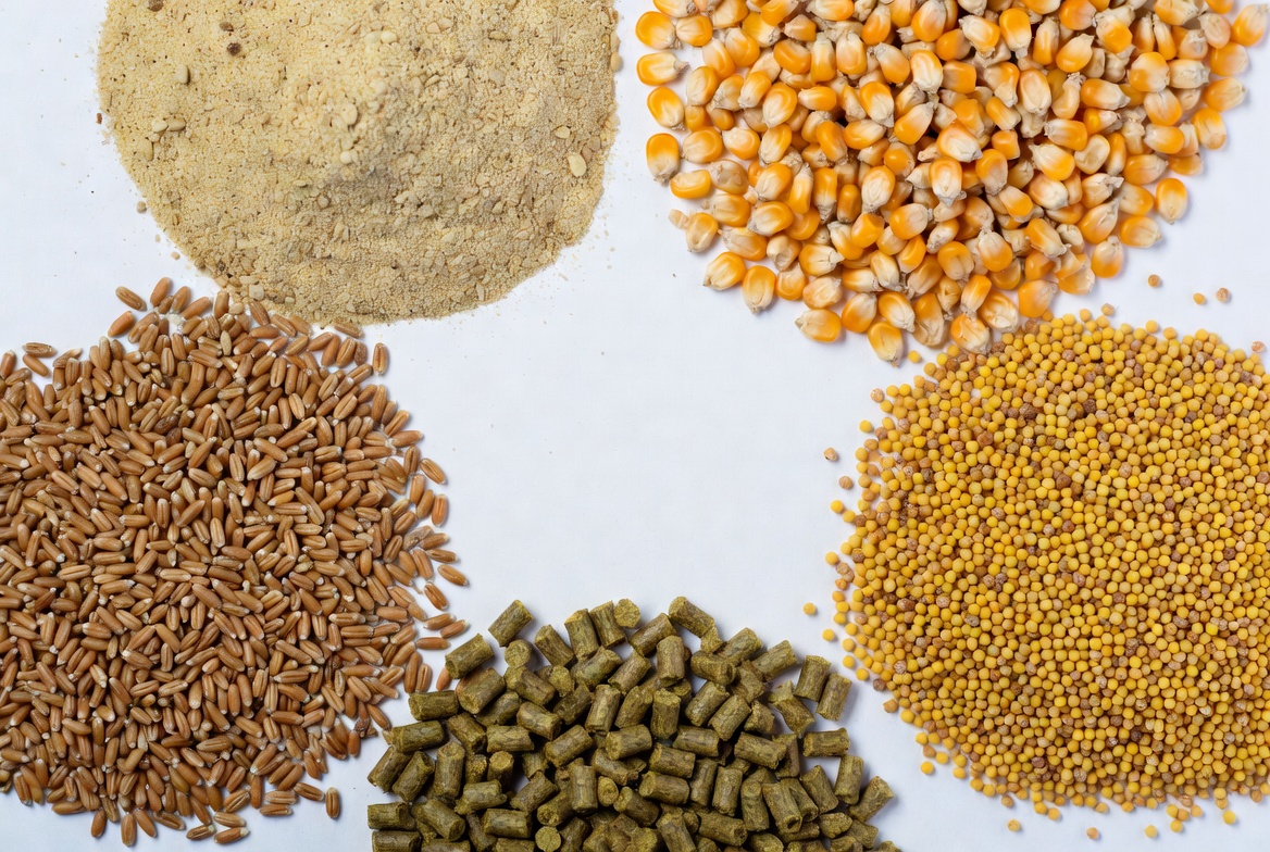 Animal Feed Production